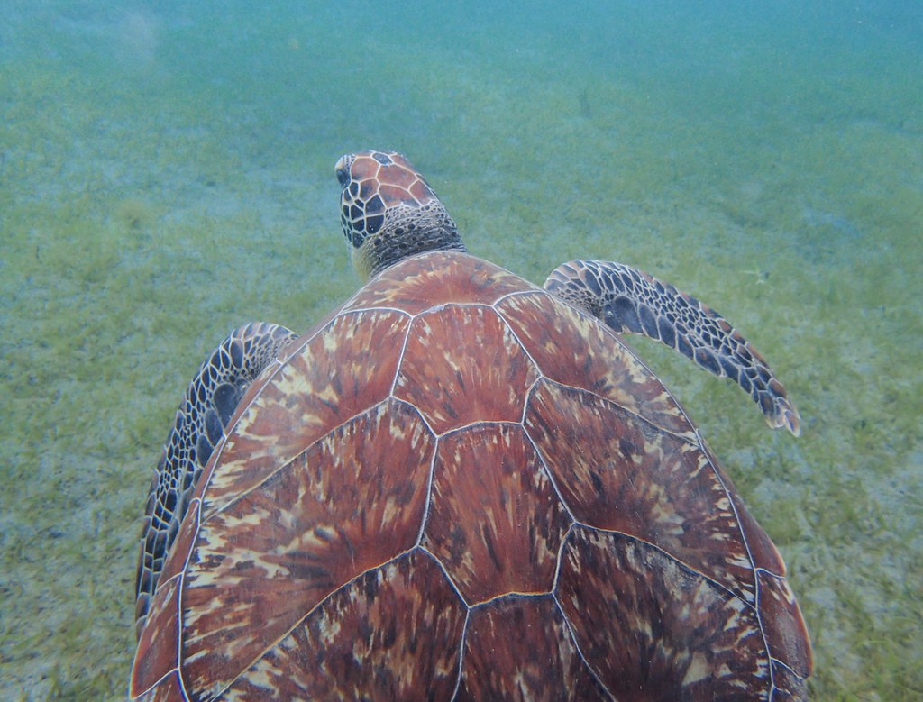 Guadeloupe