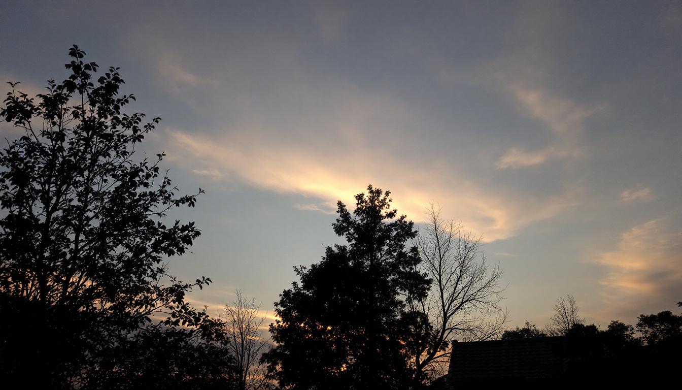 découvrez nos conseils pour choisir un canapé convertible en cuir qui correspond parfaitement à votre style et à vos besoins en matière de confort et d'esthétique.