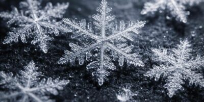 découvrez la beauté spectaculaire des flocons de neige au microscope et explorez leurs structures fascinantes, véritables merveilles scientifiques accessibles à tous.