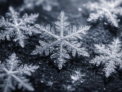découvrez la beauté spectaculaire des flocons de neige au microscope et explorez leurs structures fascinantes, véritables merveilles scientifiques accessibles à tous.