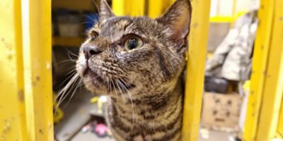 découvrez les meilleures agences de création de sites internet en drôme (26) pour booster la visibilité et la croissance de votre entreprise avec des solutions sur mesure.