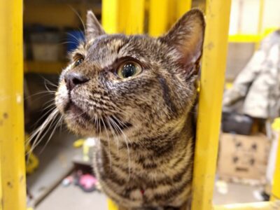 découvrez les meilleures agences de création de sites internet en drôme (26) pour booster la visibilité et la croissance de votre entreprise avec des solutions sur mesure.