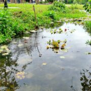 découvrez les meilleures offres actuelles pour un ordinateur portable acer 14 pouces à petit prix. profitez de tarifs avantageux et de performances fiables pour un achat malin.