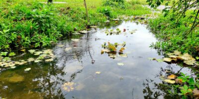 découvrez les meilleures offres actuelles pour un ordinateur portable acer 14 pouces à petit prix. profitez de tarifs avantageux et de performances fiables pour un achat malin.