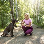 A young woman trains a dog in the forest