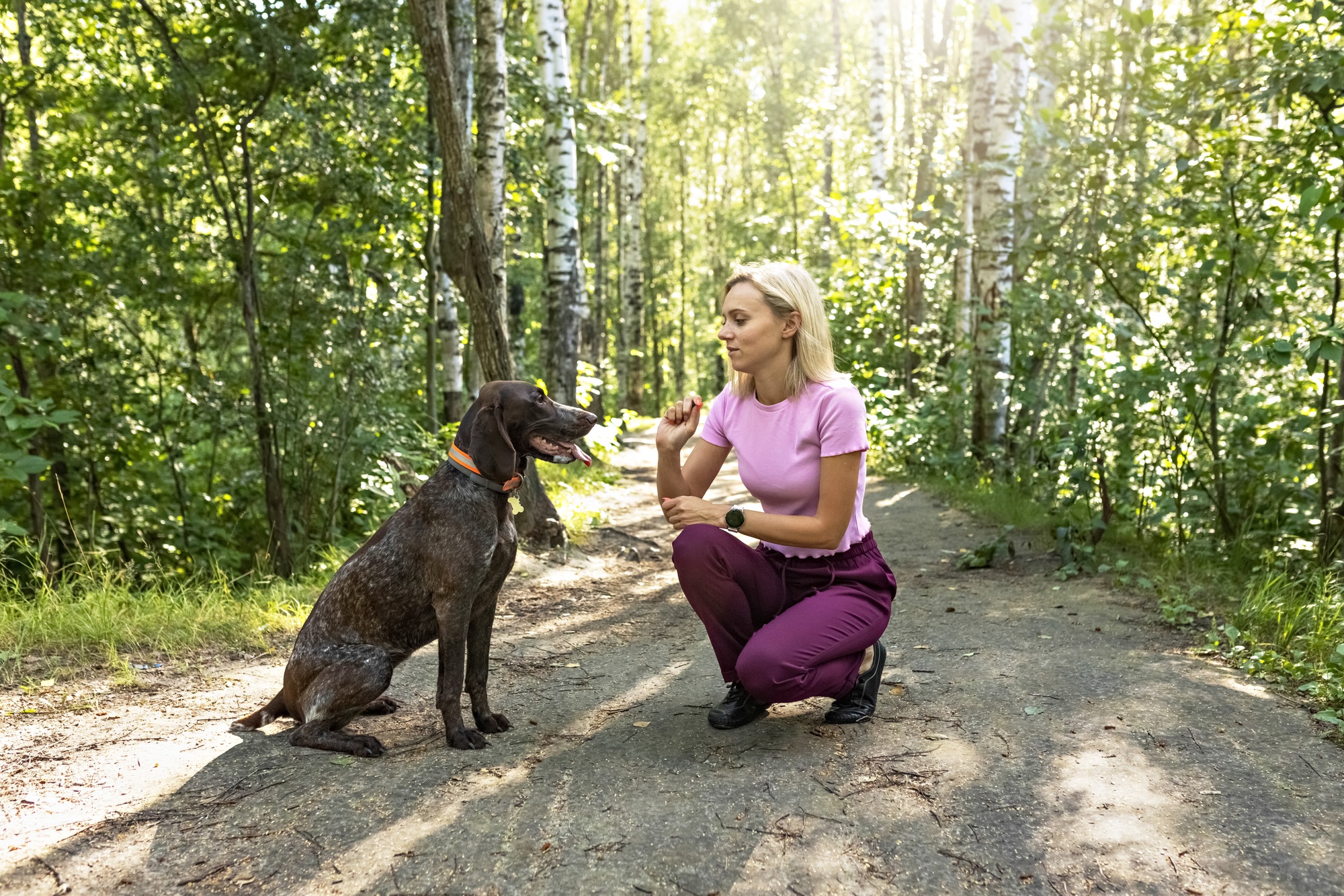 A young woman trains a dog in the forest