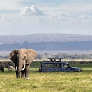 parc d'Amboseli