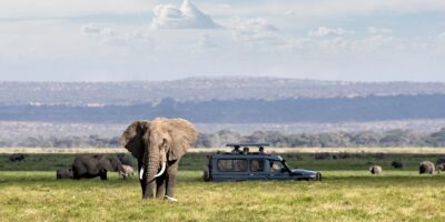 parc d'Amboseli