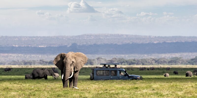 parc d'Amboseli