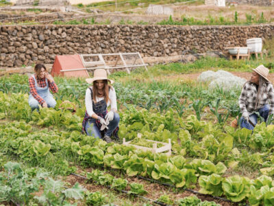 agriculture biologique