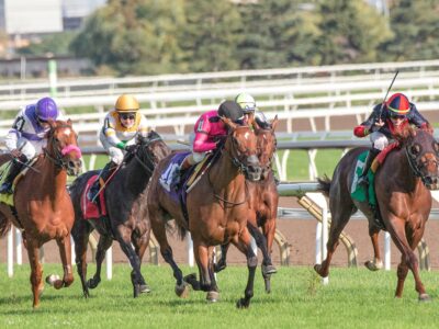 arrivées des courses PMU