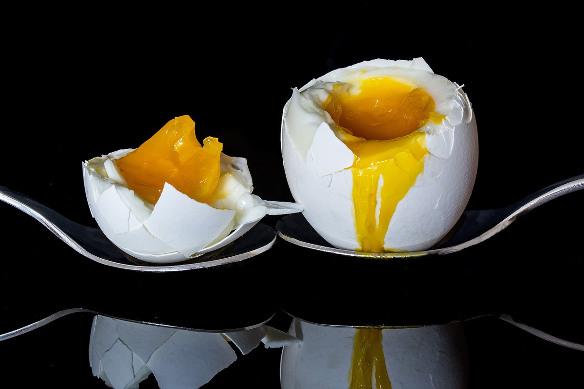 cuisson oeufs au micro-ondes