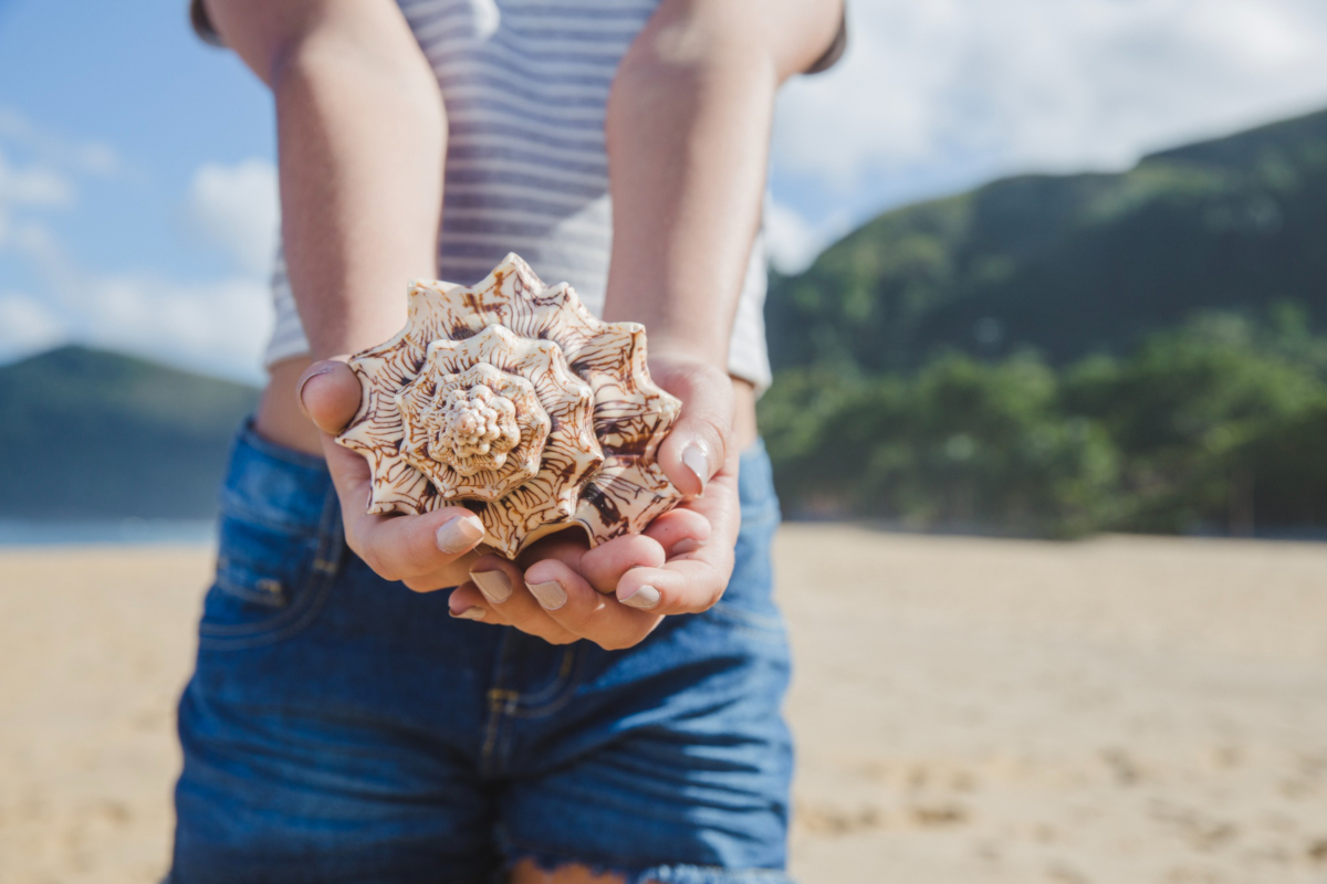 Pourquoi on entend la mer dans les coquillages