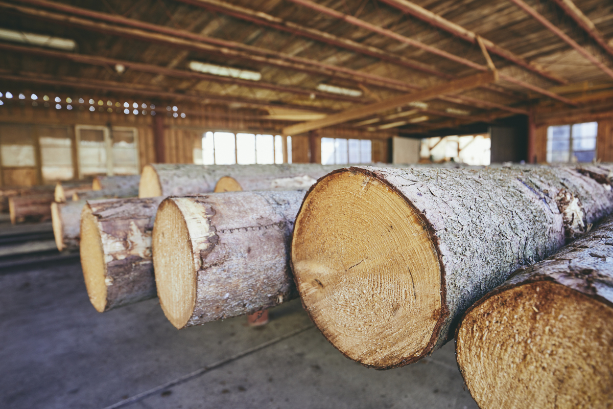 fabrication bois densifié