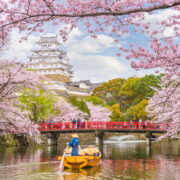 Japon au printemps