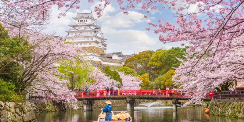 Japon au printemps