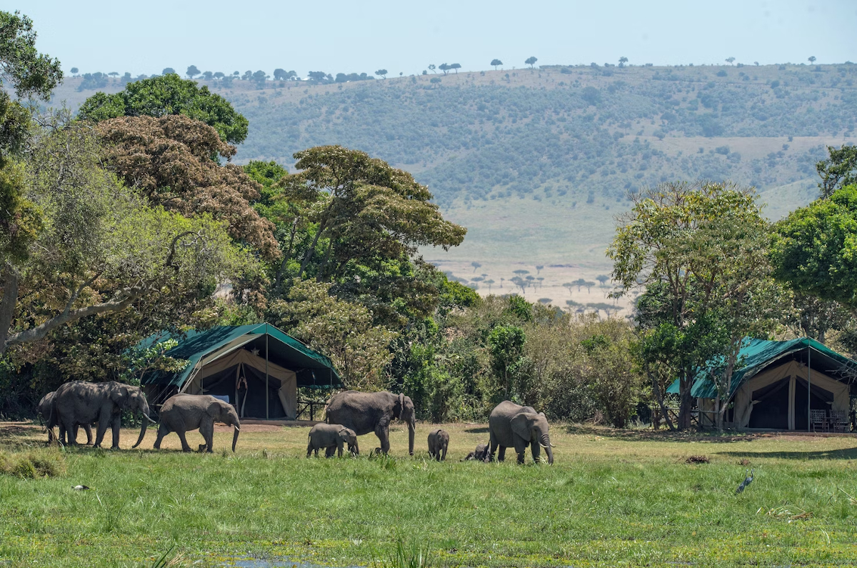 logements safari