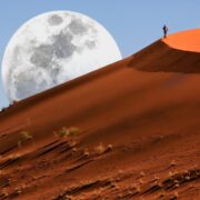 paysage Namibie