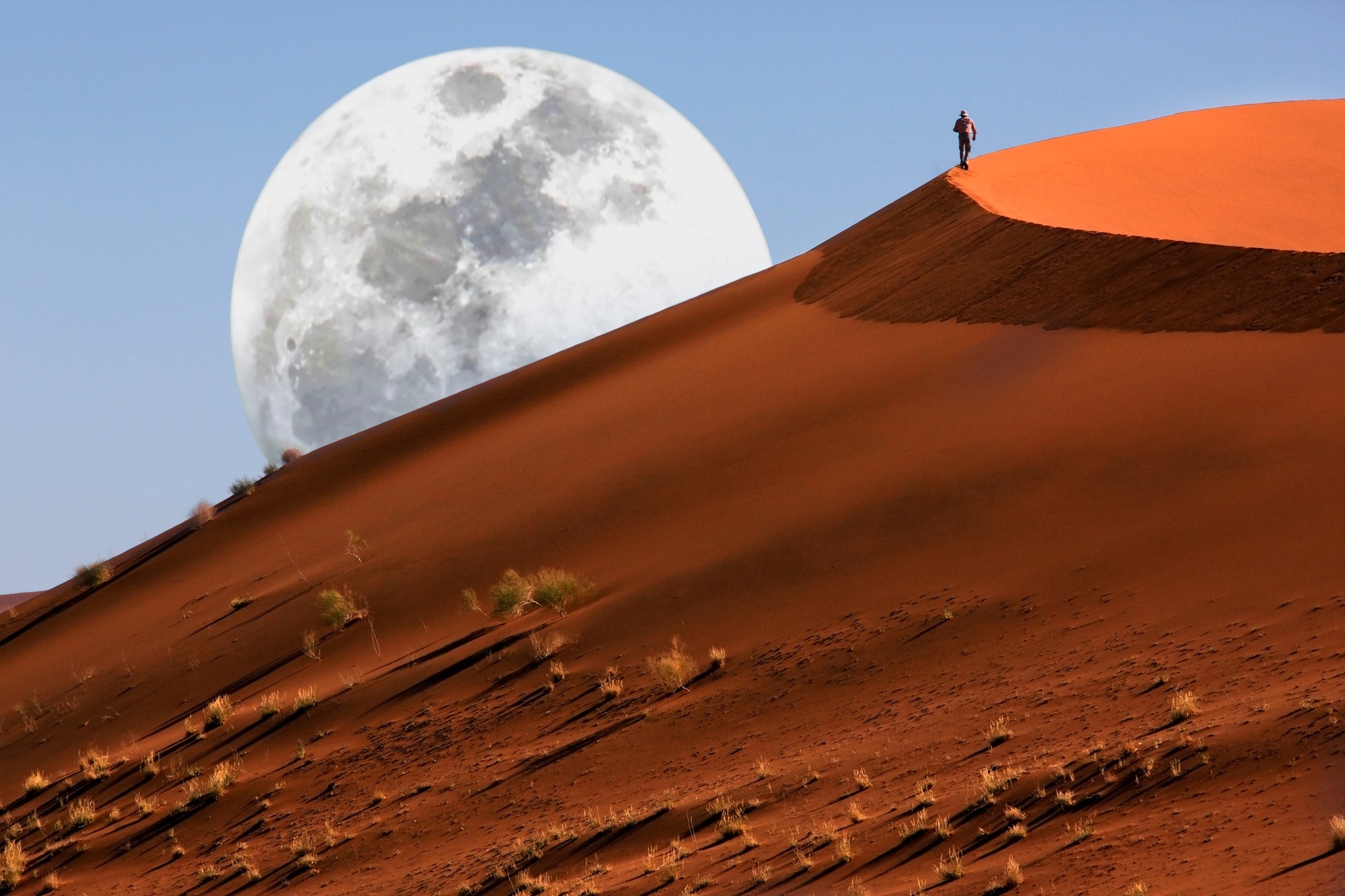 paysage Namibie