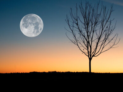 photo lune