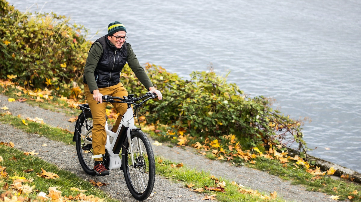 vélo électrique occasion
